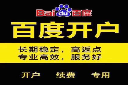 网站SEM托管服务成功案例分享